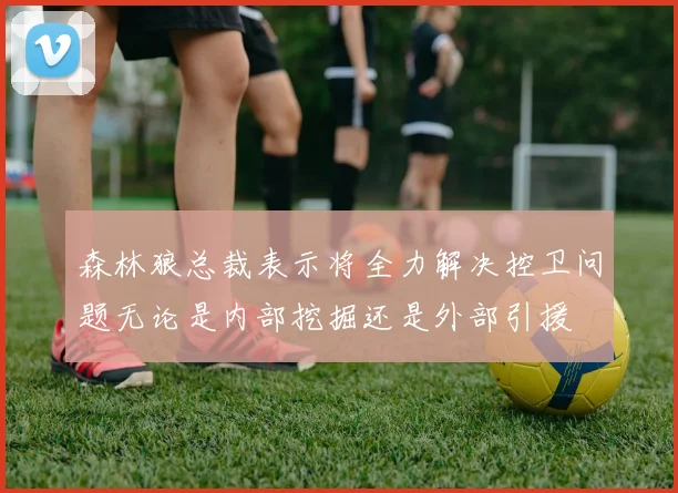 森林狼总裁表示将全力解决控卫问题无论是内部挖掘还是外部引援