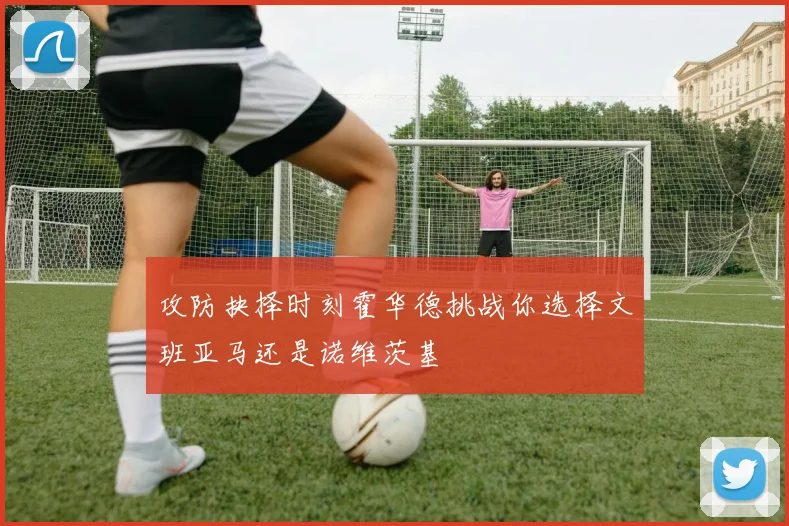 攻防抉择时刻霍华德挑战你选择文班亚马还是诺维茨基